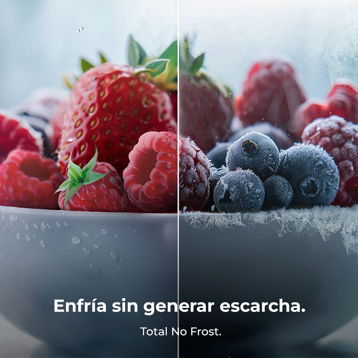 Bolero CoolMarket Combi 250 WD Total White Glass D | Envío, instalación y retirada RAEE gratis – foto detalle 5 Bolero CoolMarket Combi 250 WD Total White Glass D | Envío, instalación y retirada RAEE gratis – foto detalle 5